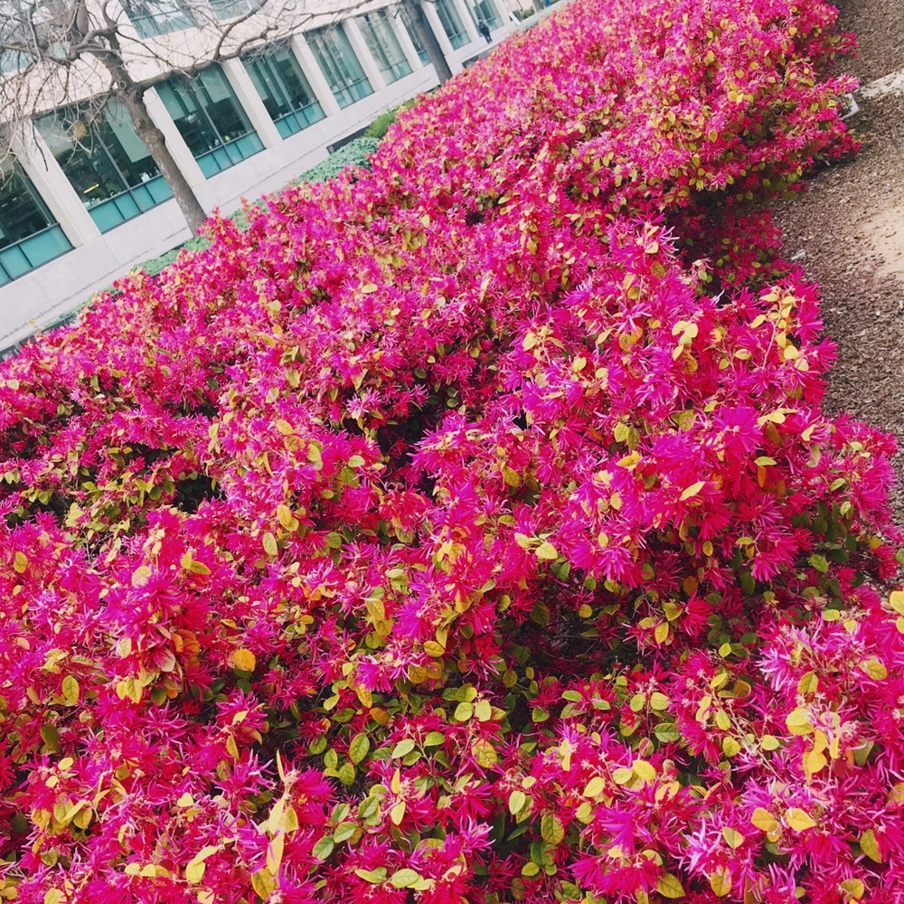 Meet your Posher, Mckenzie